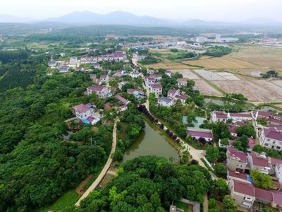 植綠不止，春山可望！馬鞍山市這個縣扛起高質量發展“綠色擔當”