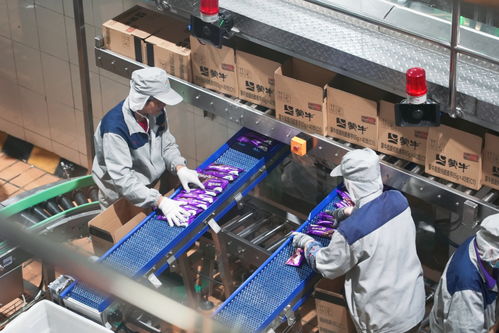 蒙牛乳業(yè)攜手馬鞍山，驅動綠色食品產業(yè)邁向新征程